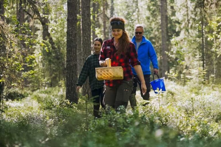 Rovaniemi : Trekking in the Heart of Nature - What You’ll Take Away