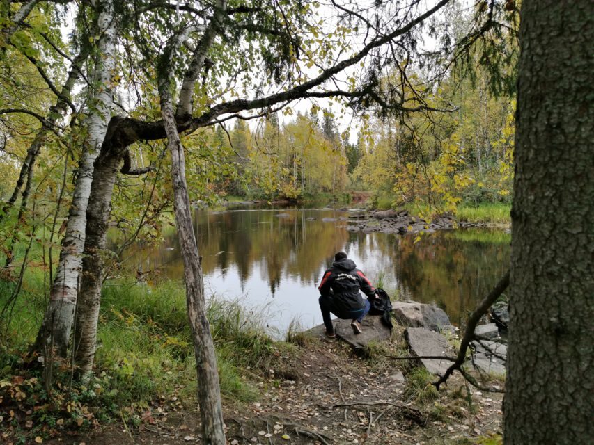 Rovaniemi: Vaattunki Hiking Arctic Circle Trail - Who Will Love This Tour?