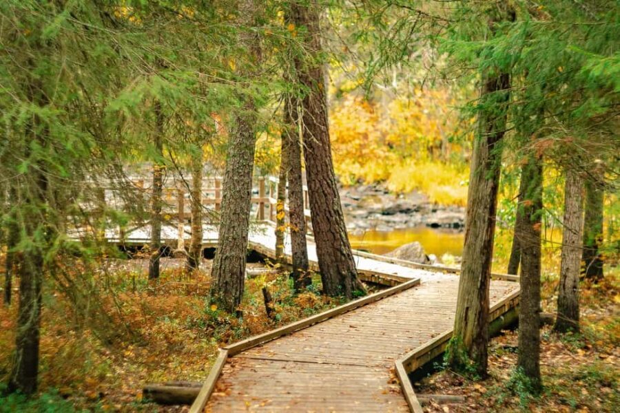 Rovaniemi: Vaattunkiköngäs Trail Arctic Circle Forest Hike - Key Points