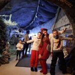 Rovaniemi: Visit Santa Park Visit with Hotel Transfer - The True Value of This Experience