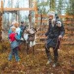 Rovaniemi: Walk with Reindeer - An In-Depth Look at the Experience