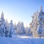Rovaniemi: Wilderness Tour - Who Is This Tour Best Suited For?