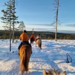 Rovaniemi: Winter Horseback Ride on Snowy Hills and Forests - Who Is This Tour Perfect For?