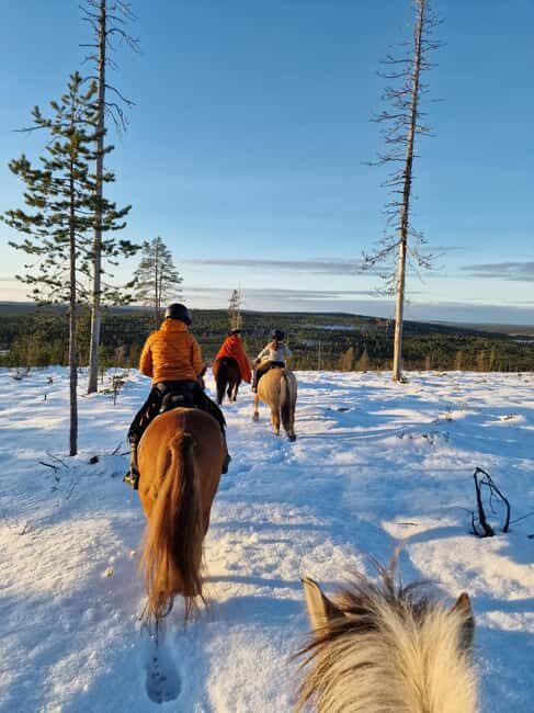 Rovaniemi: Winter Horseback Ride on Snowy Hills and Forests - Who Is This Tour Perfect For?