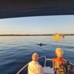 Rovinj: Shared Dolphin and Sunset Tour with Drinks - Why This Tour Is Worth It