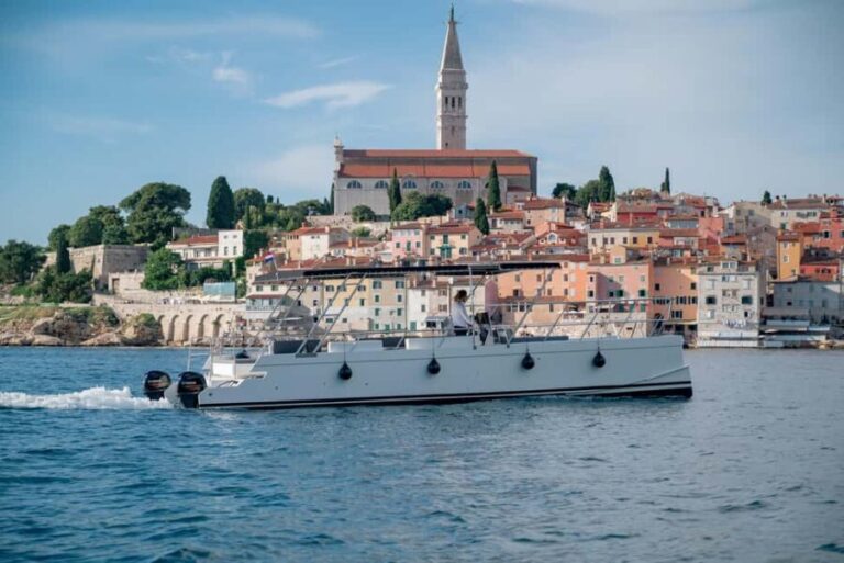 Rovinj: Sunset & dolphin group tours with Catamaran - Who Should Consider This Tour?
