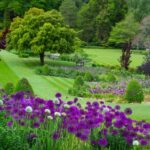 Royal Horticultural Society: Harlow Carr Garden Ticket - Practical Tips for Visitors