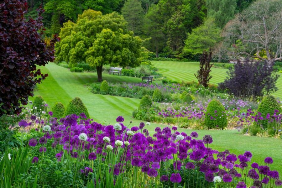Royal Horticultural Society: Harlow Carr Garden Ticket - Practical Tips for Visitors