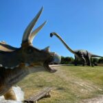 Royan: Planet Exotica Entry Ticket - Who Will Love Planet Exotica?