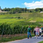 Rüdesheim - Guided wine hikes with 4wines and cable car ride - Who Is This Tour Best For?
