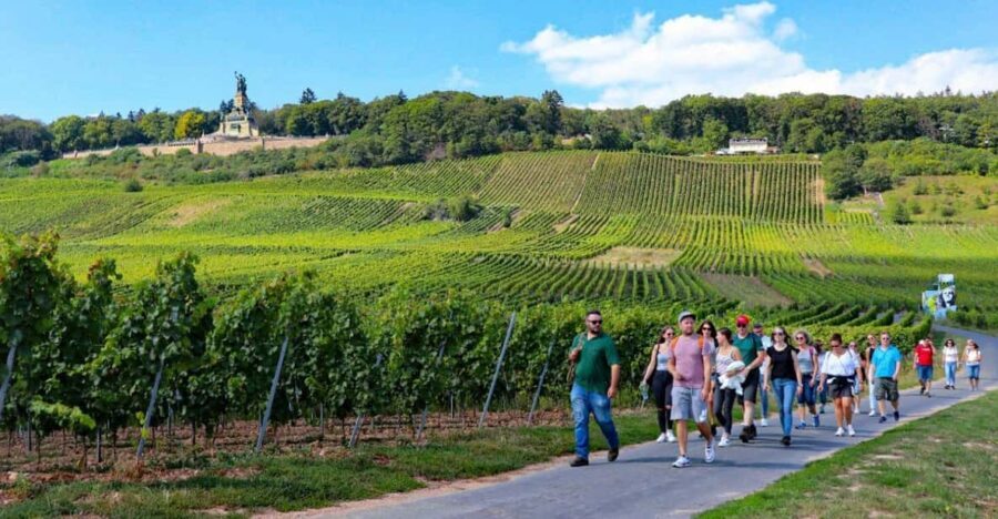 Rüdesheim - Guided wine hikes with 4wines and cable car ride - Who Is This Tour Best For?
