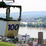 Rüdesheim: Private Guided Walking Tour - Who Will Love This Tour?