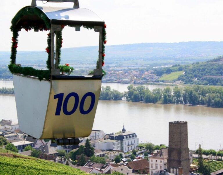 Rüdesheim: Private Guided Walking Tour - Who Will Love This Tour?