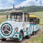 Rüdesheim sightseeing tour with the Winzerexpress - The Experience in Detail: Breaking Down the Itinerary