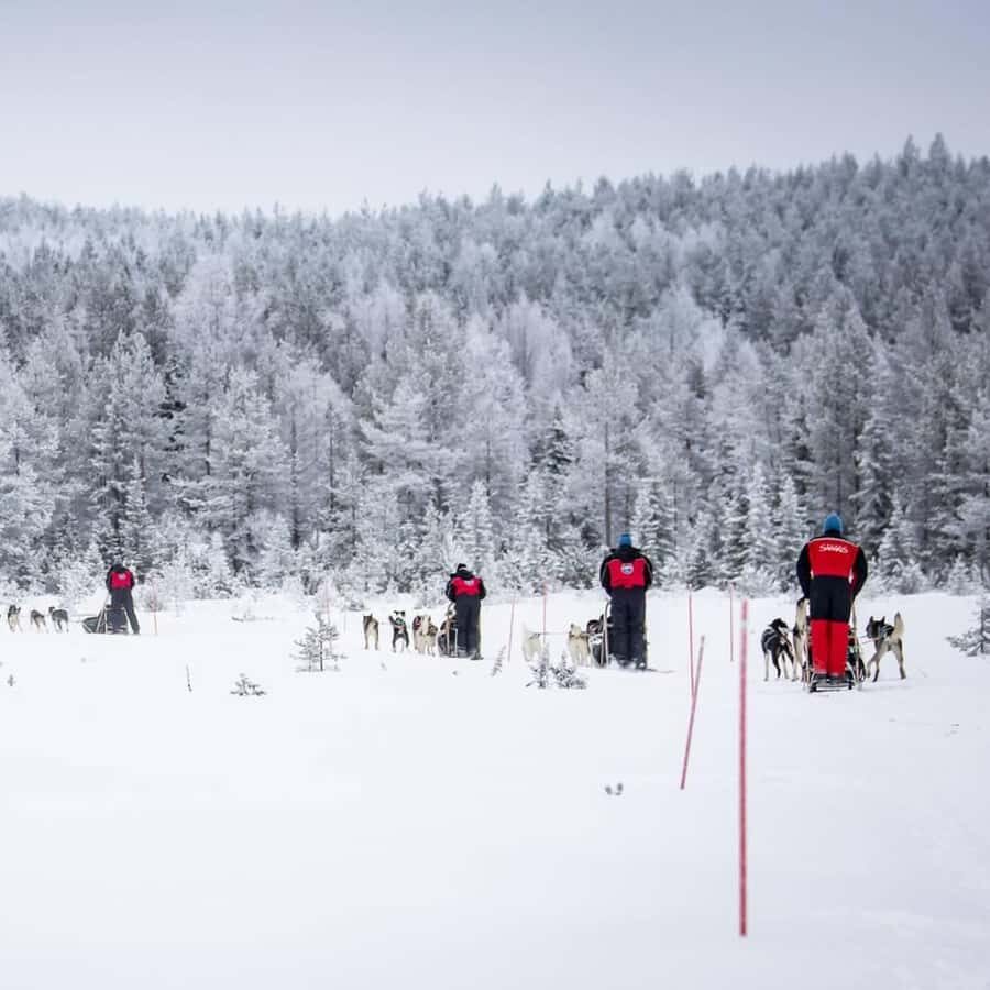 Ruka: Husky Ride and Farm Visit + Fireside Treats - Why Choose This Tour?