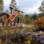 Ruka : Into the forest with fatbikes - Final Thoughts: Who Should Book This?