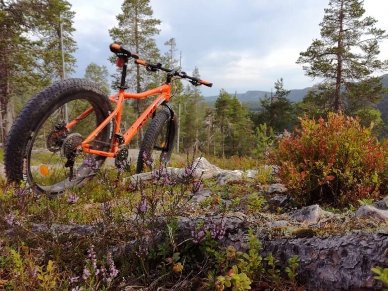 Ruka : Into the forest with fatbikes - Final Thoughts: Who Should Book This?