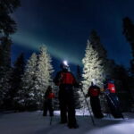 Ruka: Northern Light Hunt by Minivan - Authentic, Small-Group Arctic Adventure
