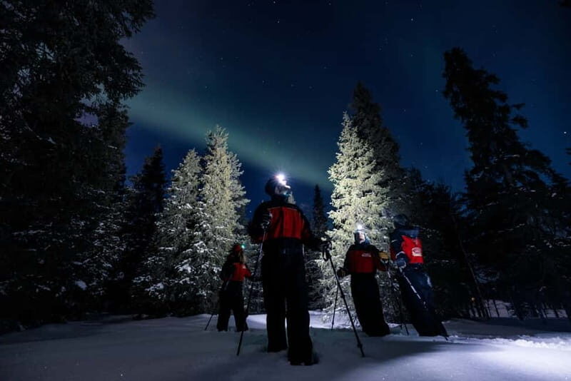 Ruka: Northern Light Hunt by Minivan - Authentic, Small-Group Arctic Adventure