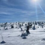 Ruka: Riisitunturi National Park with lunch. - The Journey Begins: Pickup and Transfer