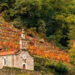 Ruta Ribeira Sacra and Sarria: Between Vineyards, History and the Way of Saint James - What’s Included and What to Consider