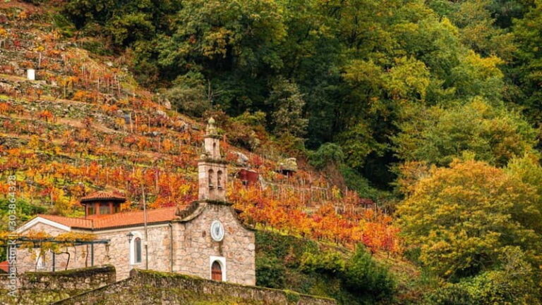 Ruta Ribeira Sacra and Sarria: Between Vineyards, History and the Way of Saint James - What’s Included and What to Consider
