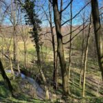 Rzeszów: Countryside trip with bonfire & sausage grilling - The Value of This Experience