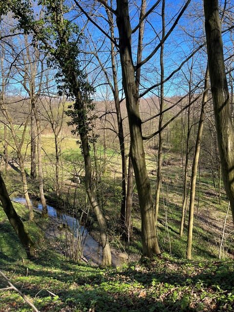 Rzeszów: Countryside trip with bonfire & sausage grilling - The Value of This Experience