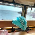 S. Miguel: Snorkeling adventure in Caloura - What to Expect from the Snorkeling Experience