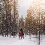 Saariselkä: Arctic Trail Horse Riding Tour - The Value of the Arctic Trail Horse Riding Tour