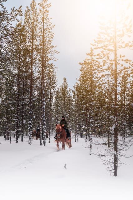 Saariselkä: Arctic Trail Horse Riding Tour - The Value of the Arctic Trail Horse Riding Tour