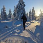 Saariselkä: Back-Country Skiing Guided Tour - Analyzing the Value