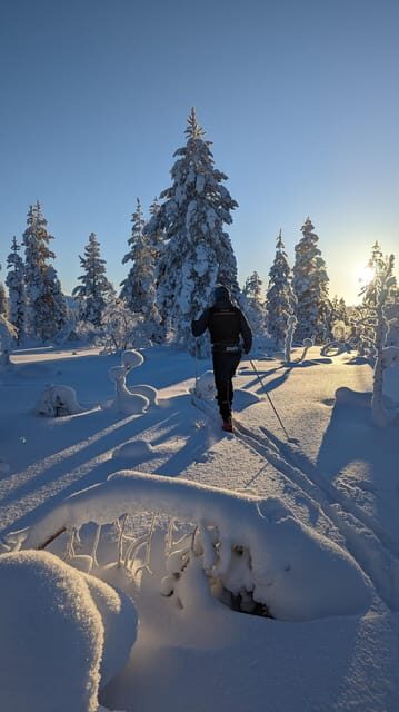 Saariselkä: Back-Country Skiing Guided Tour - Analyzing the Value