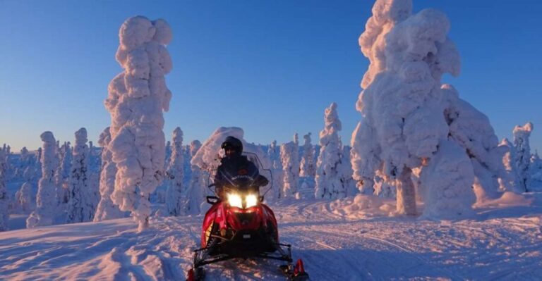 Saariselkä: Evening Snowmobile Tour with Fire & picnic - What’s Included and What to Keep in Mind
