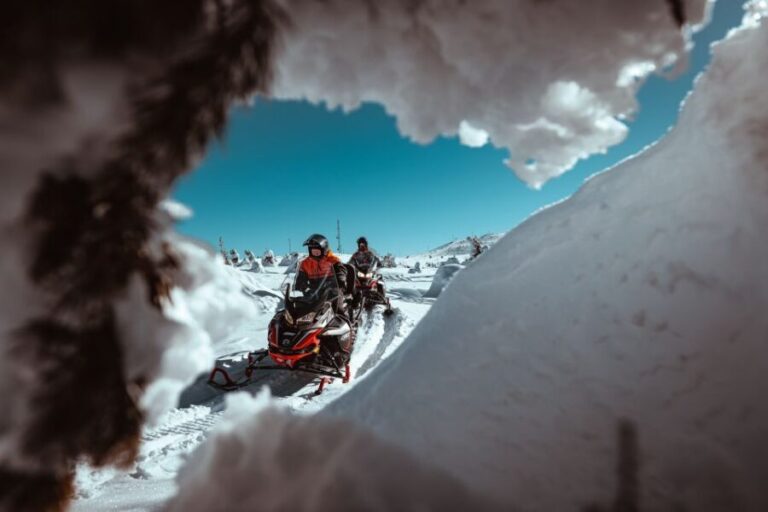 Saariselkä: Full Day Adventure with Snowmobiles - Practical Details and What to Expect