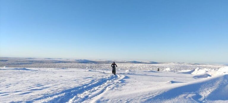 Saariselkä: Guided Fatbike Tour - The Real Deal from Riders’ Perspectives