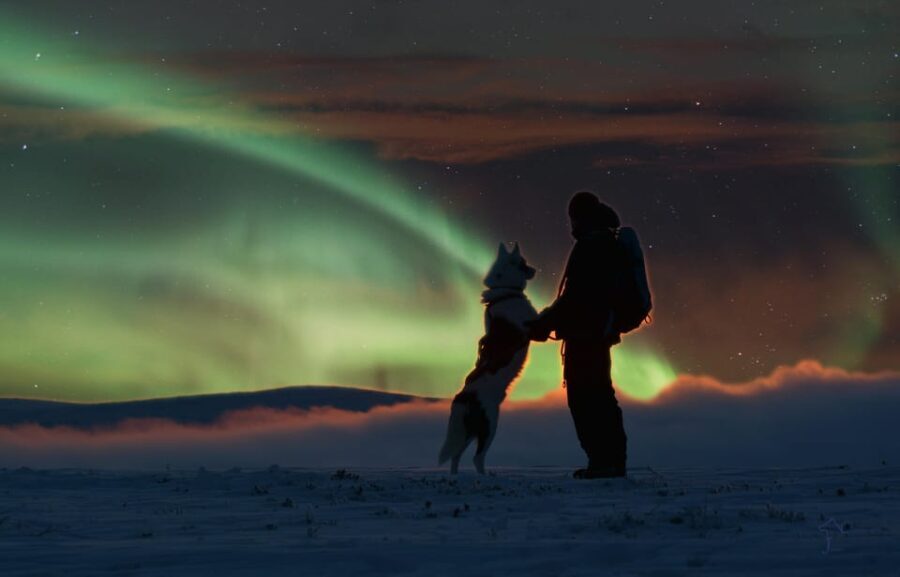 Saariselkä: Husky Safari with Aurora Borealis Hunt - The Experience in Detail