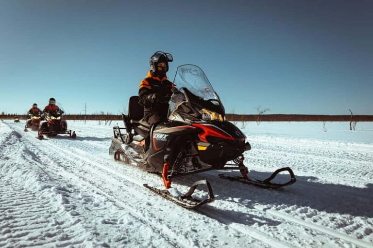 Saariselkä: One Hour Snowmobile Safari - Who Should Consider This Tour?