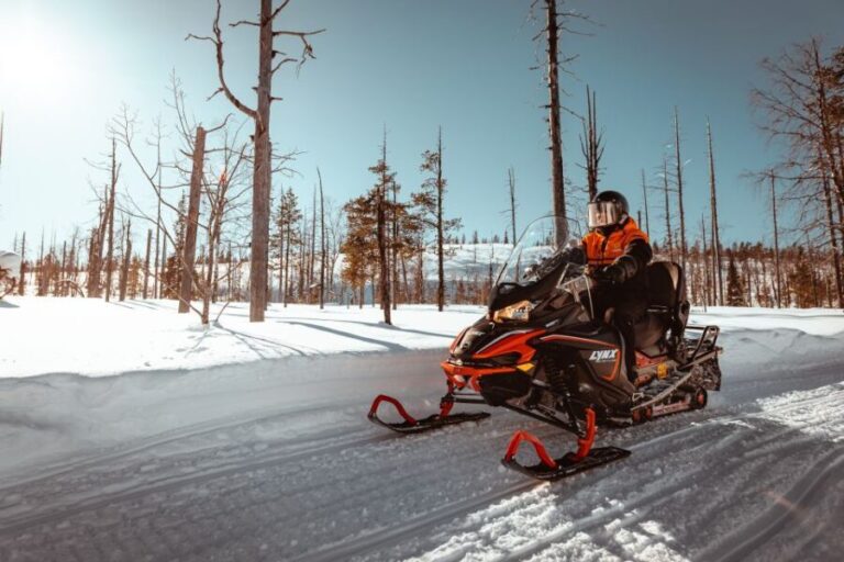 Saariselkä: Snowmobile Adventure for Adults - What Youll Get and What to Prepare