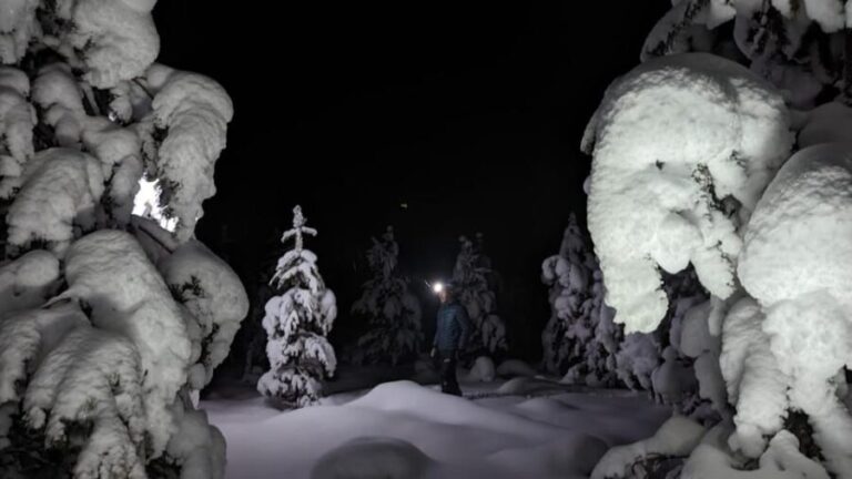 Saariselkä: Snowshoeing Tour in Urho Kekkonen National Park - Practical Details: What You Need to Know