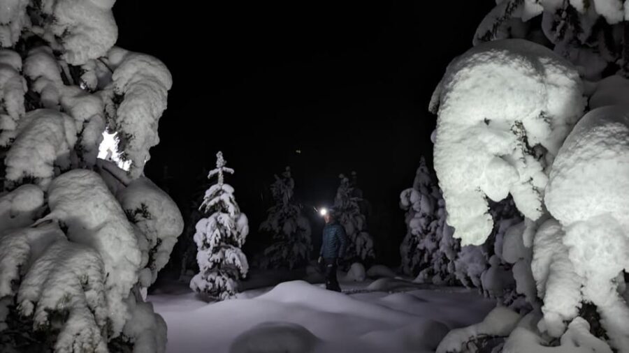 Saariselkä: Snowshoeing Tour in Urho Kekkonen National Park - Practical Details: What You Need to Know