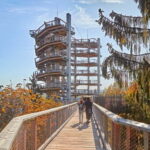 Saarland: Treetop Walk Saarschleife & Lookout Tower - An In-depth Look at the Saarland Treetop Walk & Lookout Tower