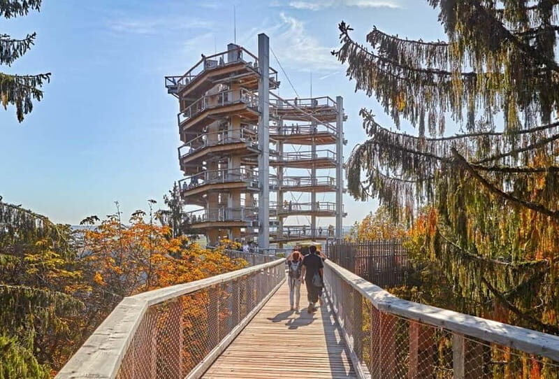 Saarland: Treetop Walk Saarschleife & Lookout Tower - An In-depth Look at the Saarland Treetop Walk & Lookout Tower
