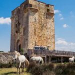 Safari 4x4 in Camargue / VIP Tour 3h30 / Grau du Roi - What Makes This Tour Special