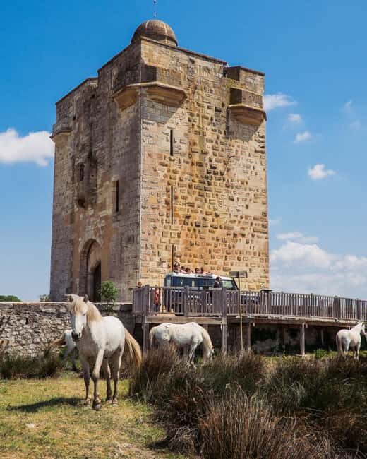 Safari 4x4 in Camargue / VIP Tour 3h30 / Grau du Roi - What Makes This Tour Special