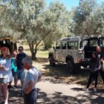 Safari & Boat Tour - Mountains & Dolphins - Why We Think This Tour Offers Great Value