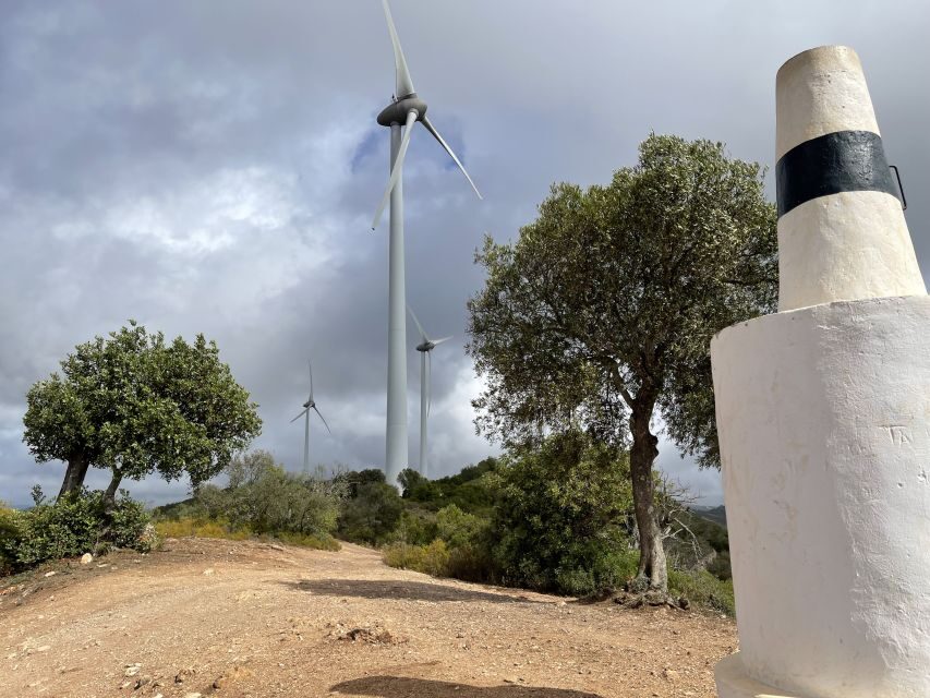 Safari & Kayaking - Who Will Love This Tour?