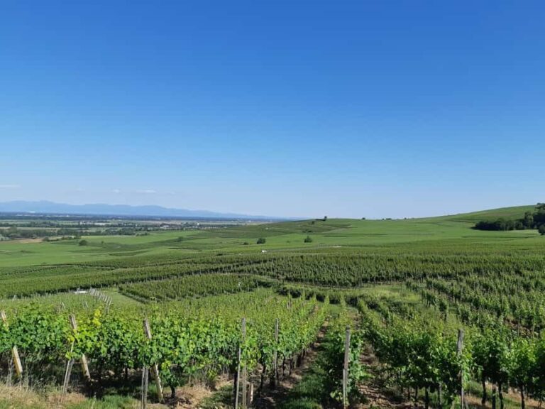 Safari Wine Villages & Wine tasting - Practical Details and Value