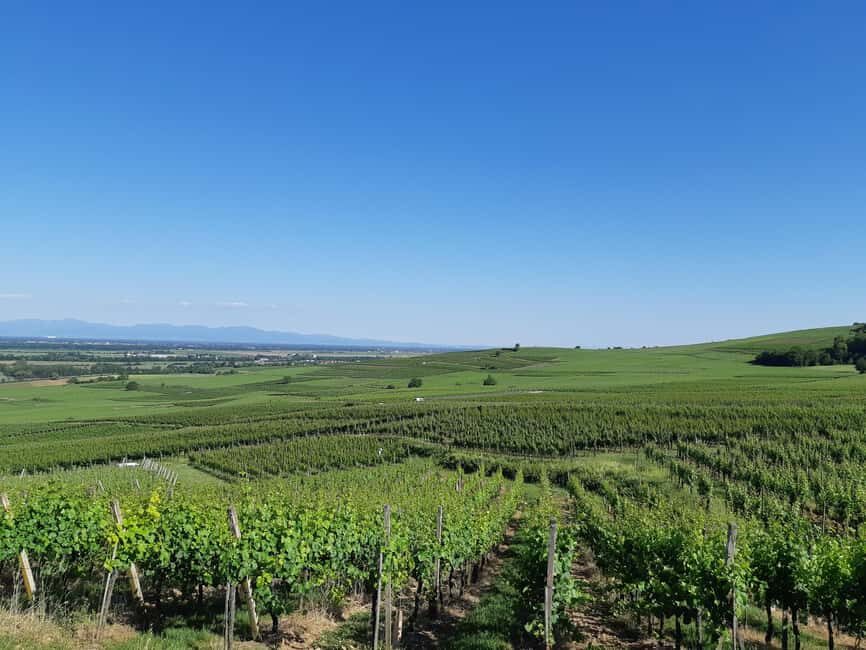 Safari Wine Villages & Wine tasting - Practical Details and Value