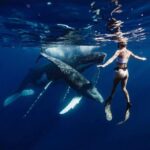 Sail the Canaries: Nature, Culture, and Culinary Delights - Final Thoughts